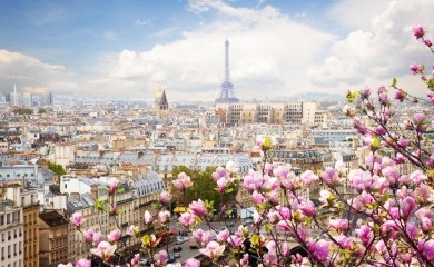image_1