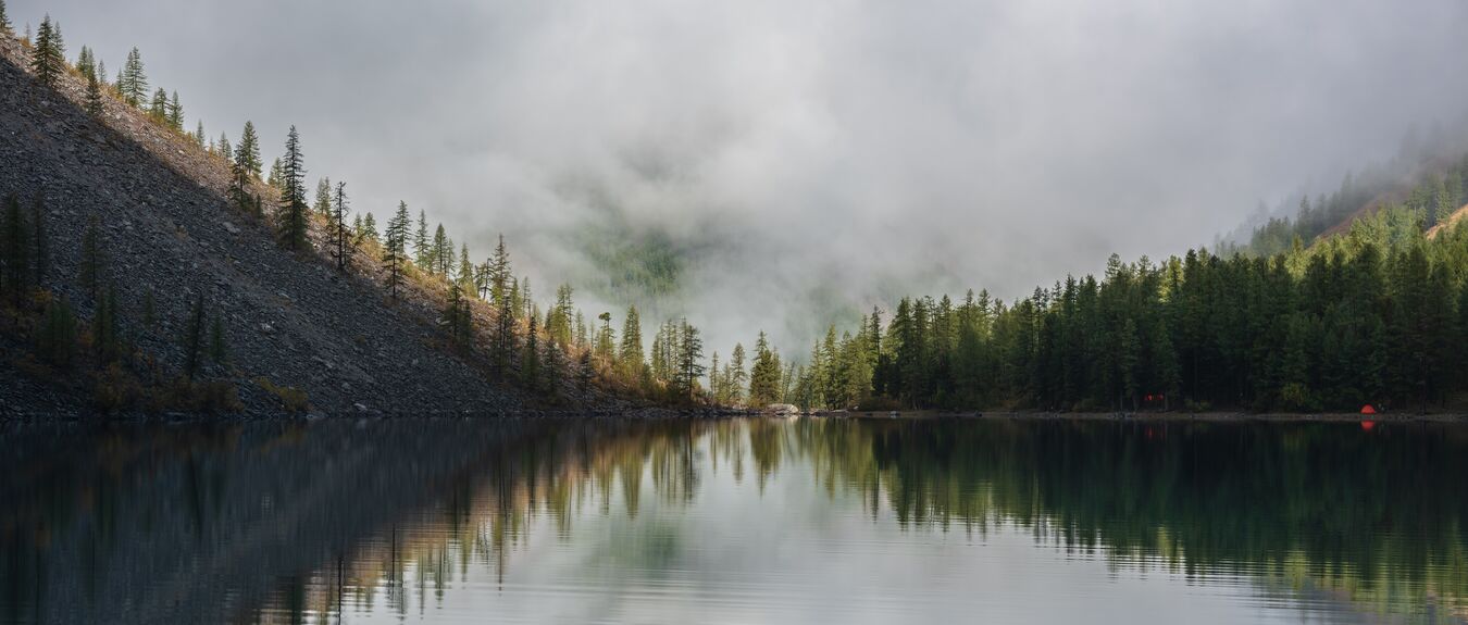 Tranquil meditative scenery of glacial lake with pointy fir tops reflection and forest hill in thick low clouds. Graphic EQ of spruce tops on alpine lake in dense fog. Mountain lake at early morning.