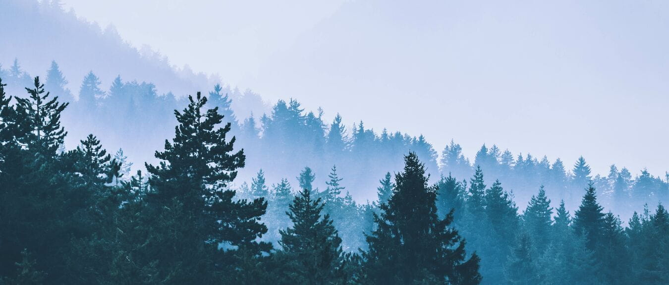 trees