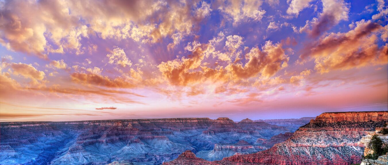 arizona