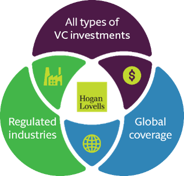VC Capabilites Graphic